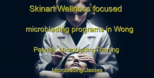 Skinart Wellness-focused microblading programs in Wong Pandak | #MicrobladingTraining #MicrobladingClasses #SkinartTraining-Malaysia