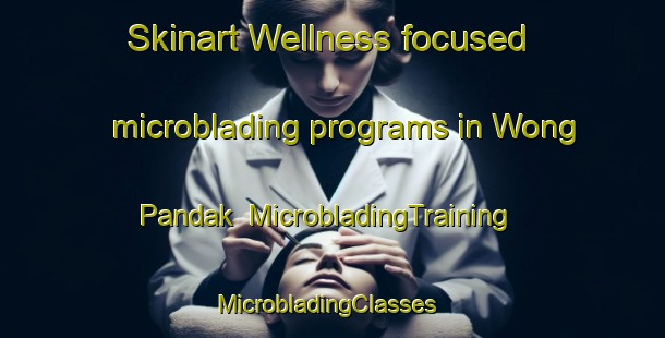 Skinart Wellness-focused microblading programs in Wong Pandak | MicrobladingTraining | MicrobladingClasses | SkinartTraining-Malaysia