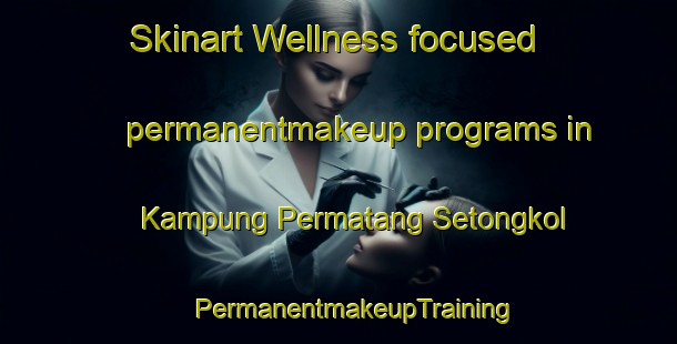 Skinart Wellness-focused permanentmakeup programs in Kampung Permatang Setongkol | #PermanentmakeupTraining #PermanentmakeupClasses #SkinartTraining-Malaysia