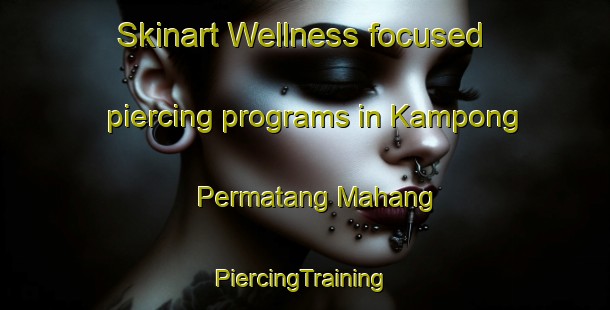 Skinart Wellness-focused piercing programs in Kampong Permatang Mahang | #PiercingTraining #PiercingClasses #SkinartTraining-Malaysia