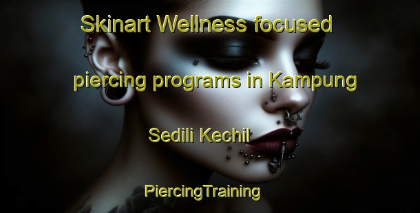 Skinart Wellness-focused piercing programs in Kampung Sedili Kechil | PiercingTraining | PiercingClasses | SkinartTraining-Malaysia