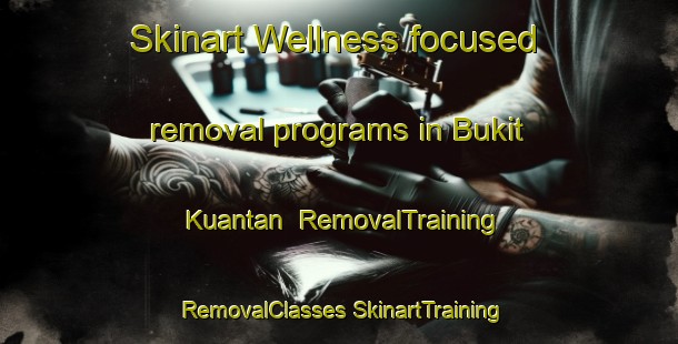 Skinart Wellness-focused removal programs in Bukit Kuantan | #RemovalTraining #RemovalClasses #SkinartTraining-Malaysia