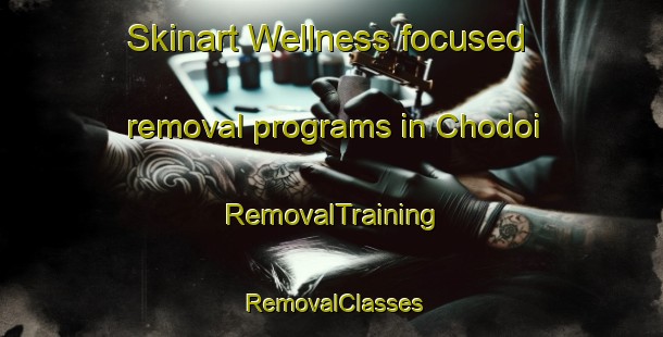 Skinart Wellness-focused removal programs in Chodoi | RemovalTraining | RemovalClasses | SkinartTraining-Malaysia