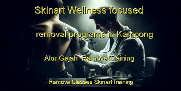 Skinart Wellness-focused removal programs in Kampong Alor Gajah | #RemovalTraining #RemovalClasses #SkinartTraining-Malaysia