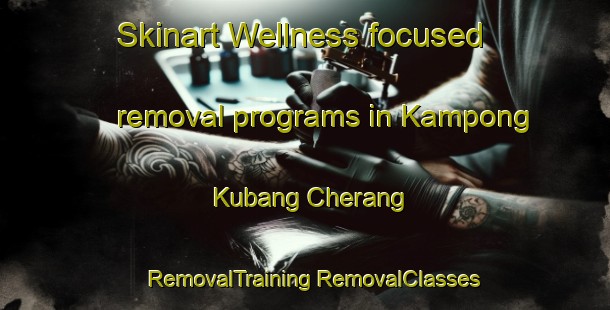 Skinart Wellness-focused removal programs in Kampong Kubang Cherang | #RemovalTraining #RemovalClasses #SkinartTraining-Malaysia