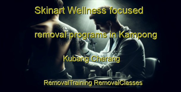 Skinart Wellness-focused removal programs in Kampong Kubang Cherang | #RemovalTraining #RemovalClasses #SkinartTraining-Malaysia