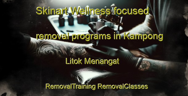 Skinart Wellness-focused removal programs in Kampong Litok Menangat | #RemovalTraining #RemovalClasses #SkinartTraining-Malaysia