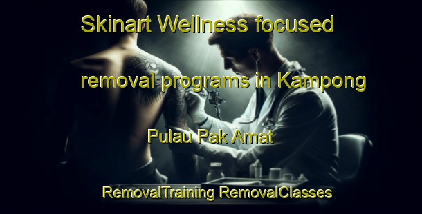 Skinart Wellness-focused removal programs in Kampong Pulau Pak Amat | #RemovalTraining #RemovalClasses #SkinartTraining-Malaysia