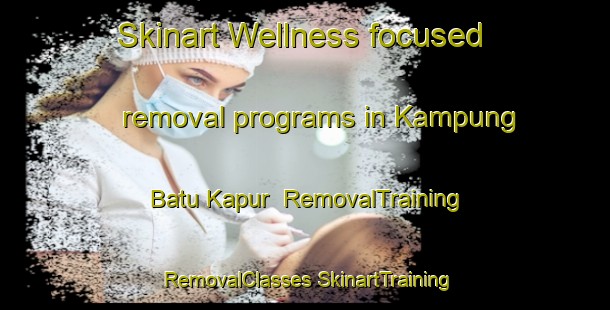 Skinart Wellness-focused removal programs in Kampung Batu Kapur | #RemovalTraining #RemovalClasses #SkinartTraining-Malaysia