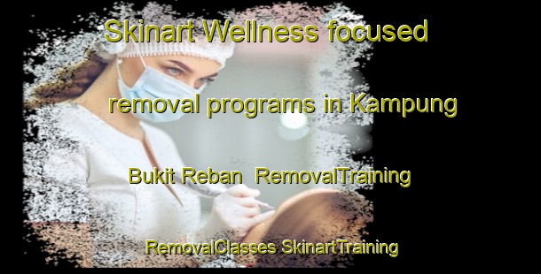 Skinart Wellness-focused removal programs in Kampung Bukit Reban | #RemovalTraining #RemovalClasses #SkinartTraining-Malaysia