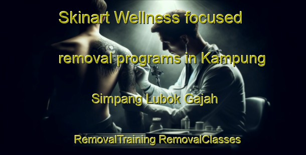 Skinart Wellness-focused removal programs in Kampung Simpang Lubok Gajah | #RemovalTraining #RemovalClasses #SkinartTraining-Malaysia