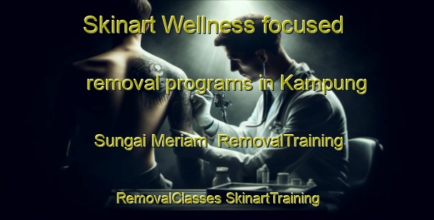 Skinart Wellness-focused removal programs in Kampung Sungai Meriam | #RemovalTraining #RemovalClasses #SkinartTraining-Malaysia