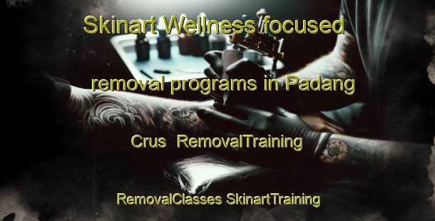 Skinart Wellness-focused removal programs in Padang Crus | #RemovalTraining #RemovalClasses #SkinartTraining-Malaysia