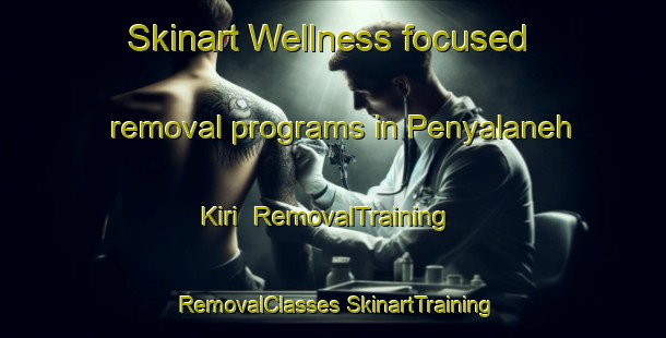 Skinart Wellness-focused removal programs in Penyalaneh Kiri | #RemovalTraining #RemovalClasses #SkinartTraining-Malaysia