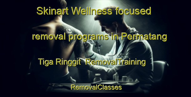 Skinart Wellness-focused removal programs in Permatang Tiga Ringgit | RemovalTraining | RemovalClasses | SkinartTraining-Malaysia