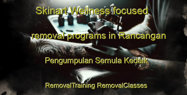 Skinart Wellness-focused removal programs in Rancangan Pengumpulan Semula Kedaik | #RemovalTraining #RemovalClasses #SkinartTraining-Malaysia