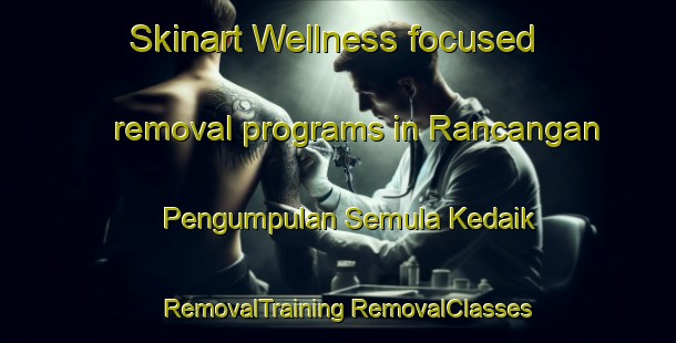 Skinart Wellness-focused removal programs in Rancangan Pengumpulan Semula Kedaik | #RemovalTraining #RemovalClasses #SkinartTraining-Malaysia