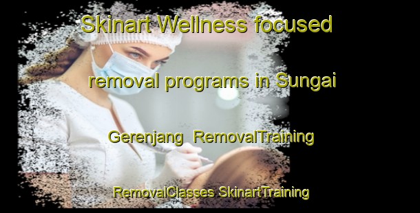 Skinart Wellness-focused removal programs in Sungai Gerenjang | #RemovalTraining #RemovalClasses #SkinartTraining-Malaysia