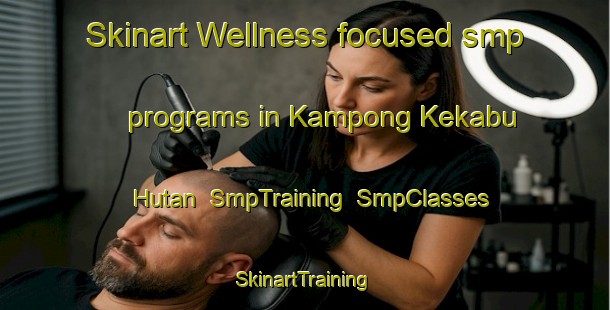 Skinart Wellness-focused smp programs in Kampong Kekabu Hutan | SmpTraining | SmpClasses | SkinartTraining-Malaysia