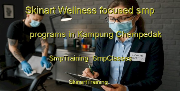 Skinart Wellness-focused smp programs in Kampung Chempedak | SmpTraining | SmpClasses | SkinartTraining-Malaysia