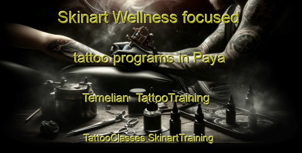 Skinart Wellness-focused tattoo programs in Paya Temelian | #TattooTraining #TattooClasses #SkinartTraining-Malaysia