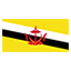 Brunei Darussalam Flag