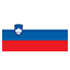 Slovenia Flag